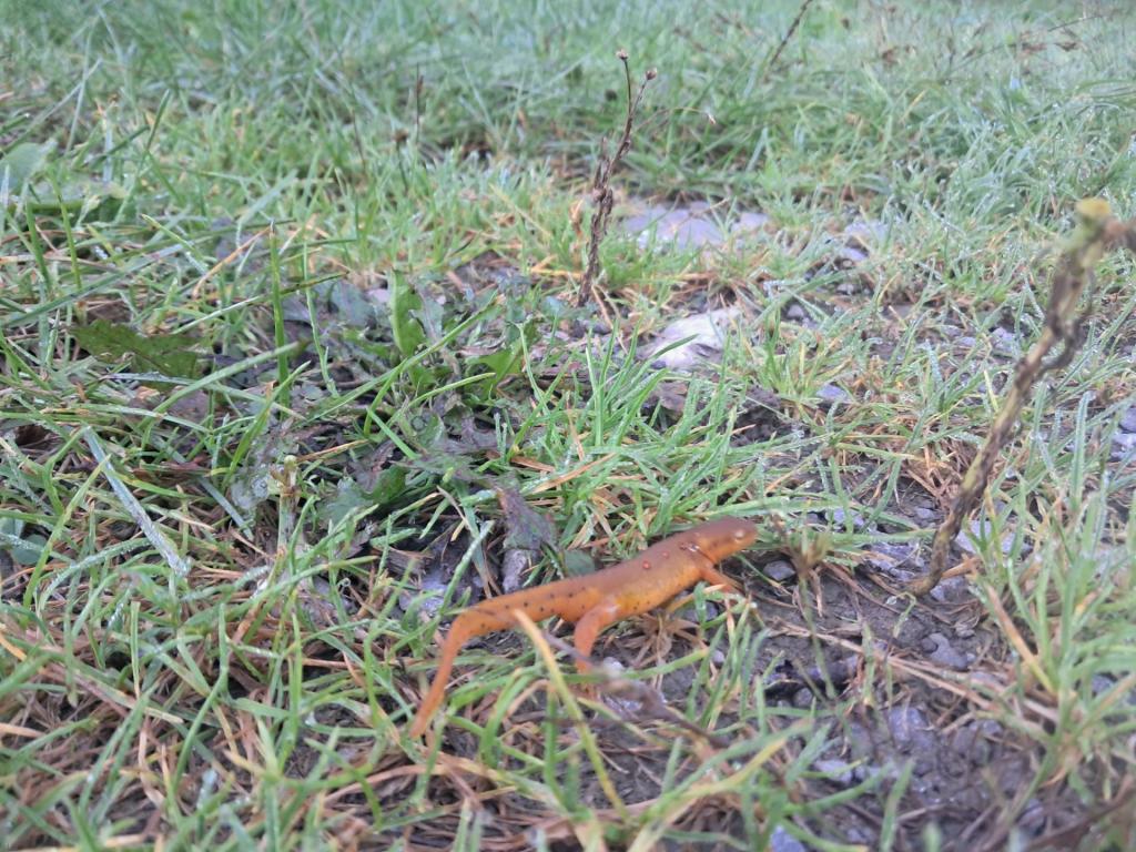 Photo: Untitled [Expires September 12 2026]