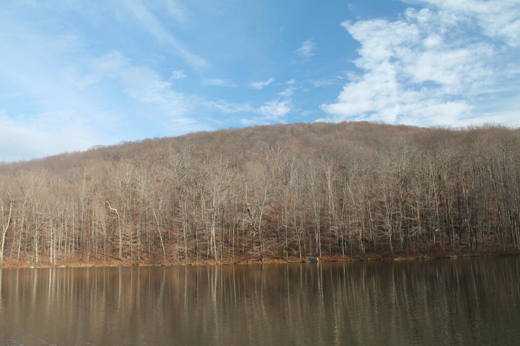 Photo: Russ Grey Pond Photo: Russ Grey Pond