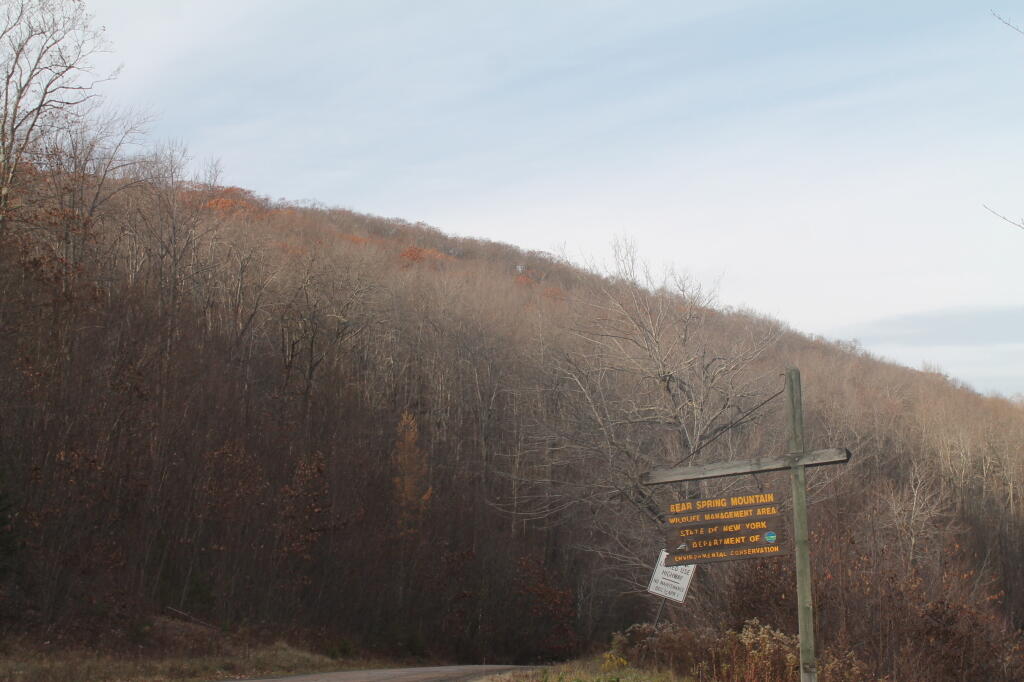 Photo: Bear Spring Sign