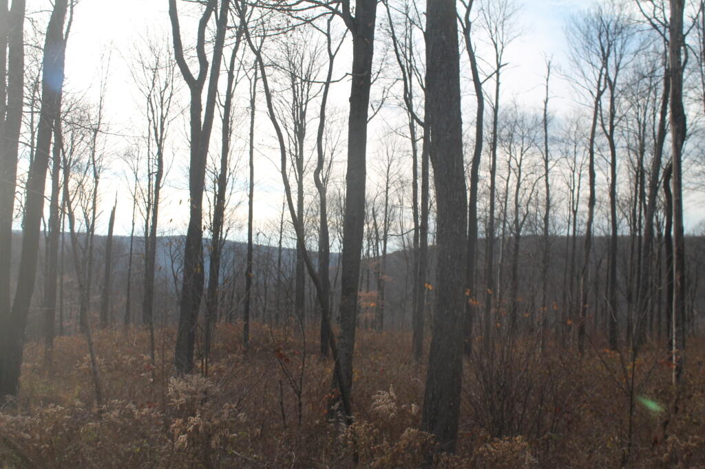 Photo: Into the Valley Photo: Into the Valley