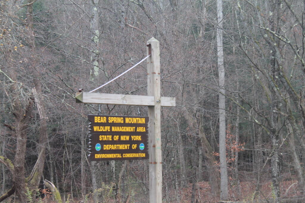 Photo: Bear Spring Sign