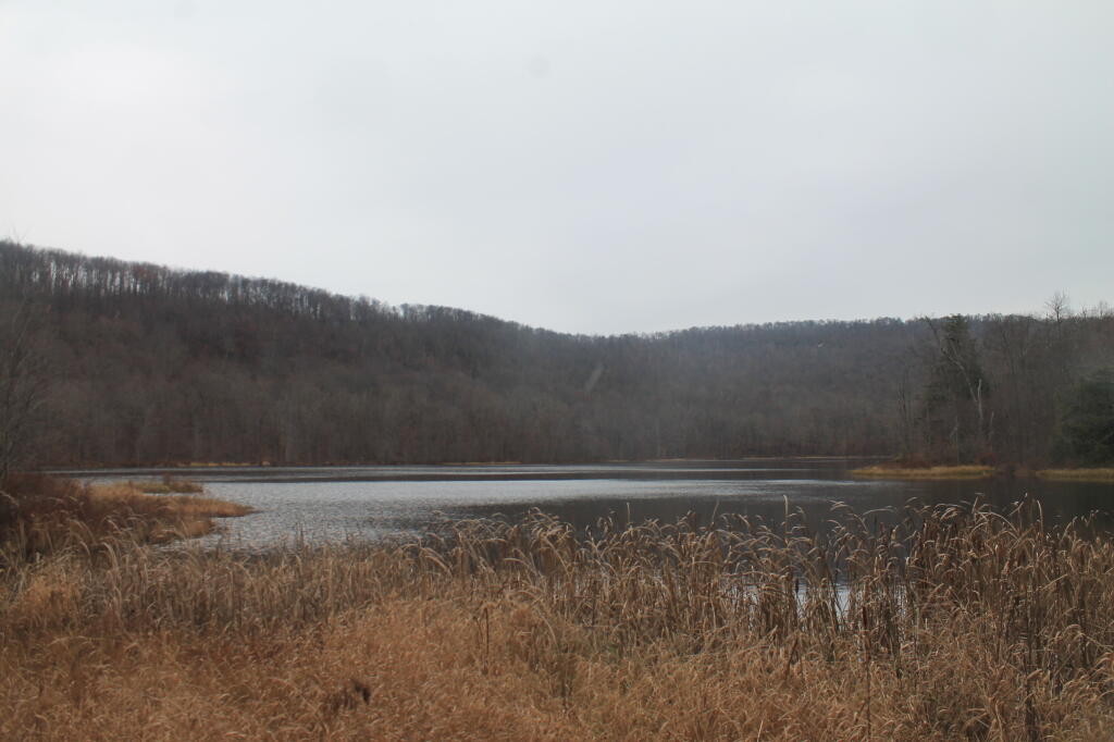 Photo: Huggins Lake