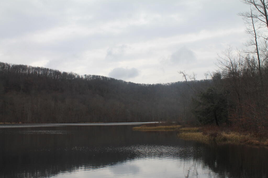 Photo: Huggins Lake 2