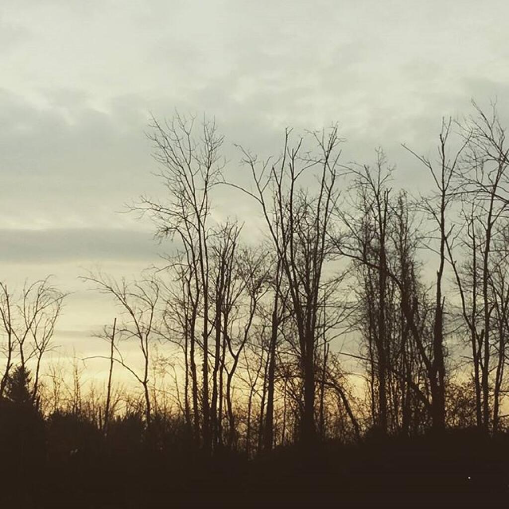 Photo: A November scene