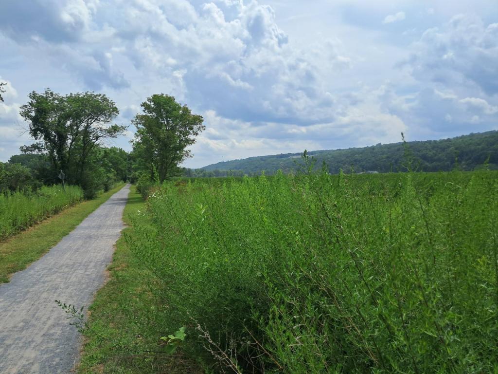Photo: Super hot and humid day on the rail trail