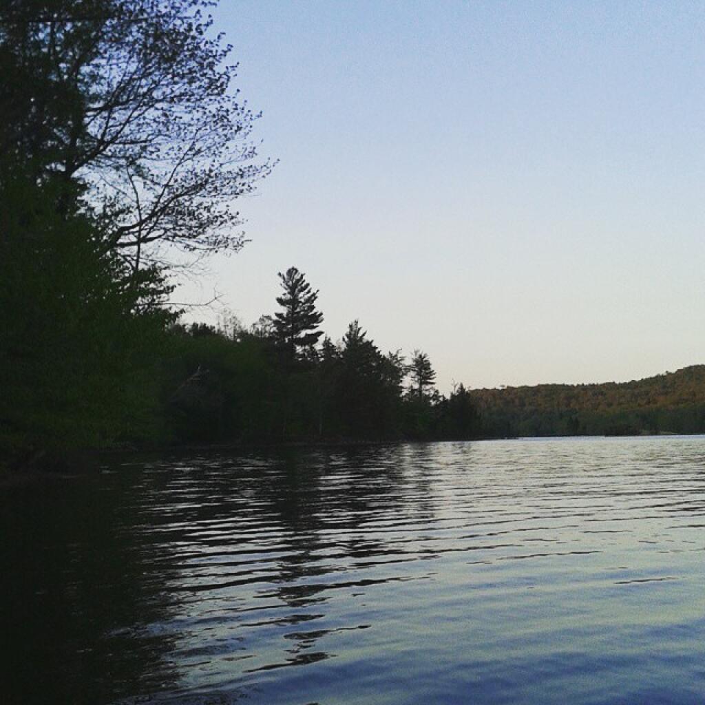 Photo: Evening