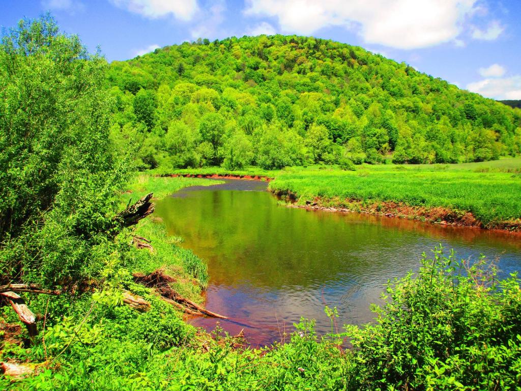 Photo: West Branch Delaware River