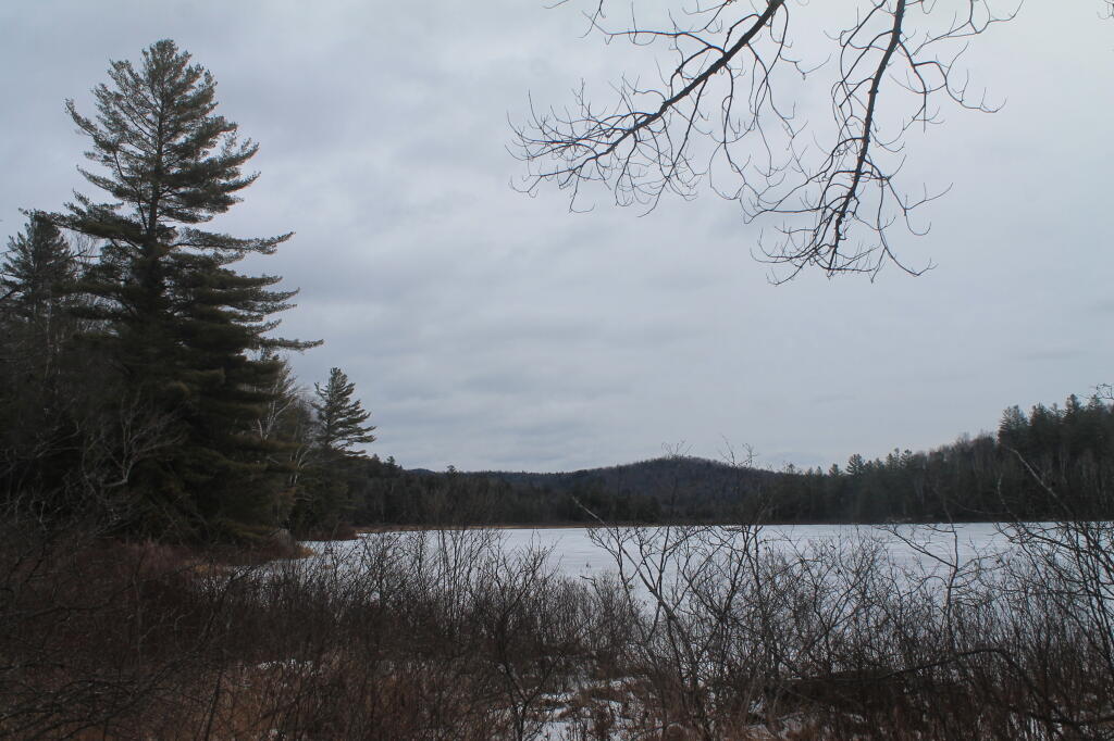 Photo: First View of Cod Pond
