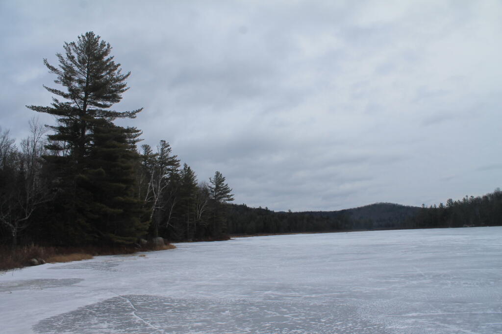 Photo: Cod Pond
