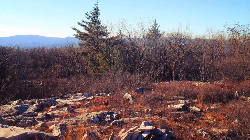 Photo: Looking Out Across Pine Cobble