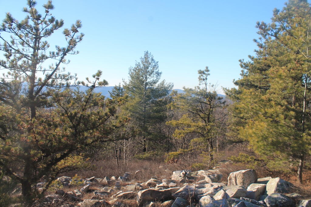 Photo: Photo.2013.11.16 16.43.57