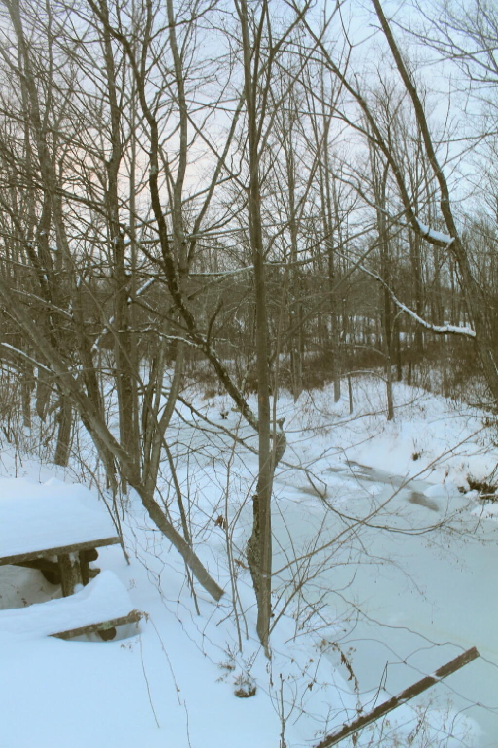 Photo: Creek Froze Over