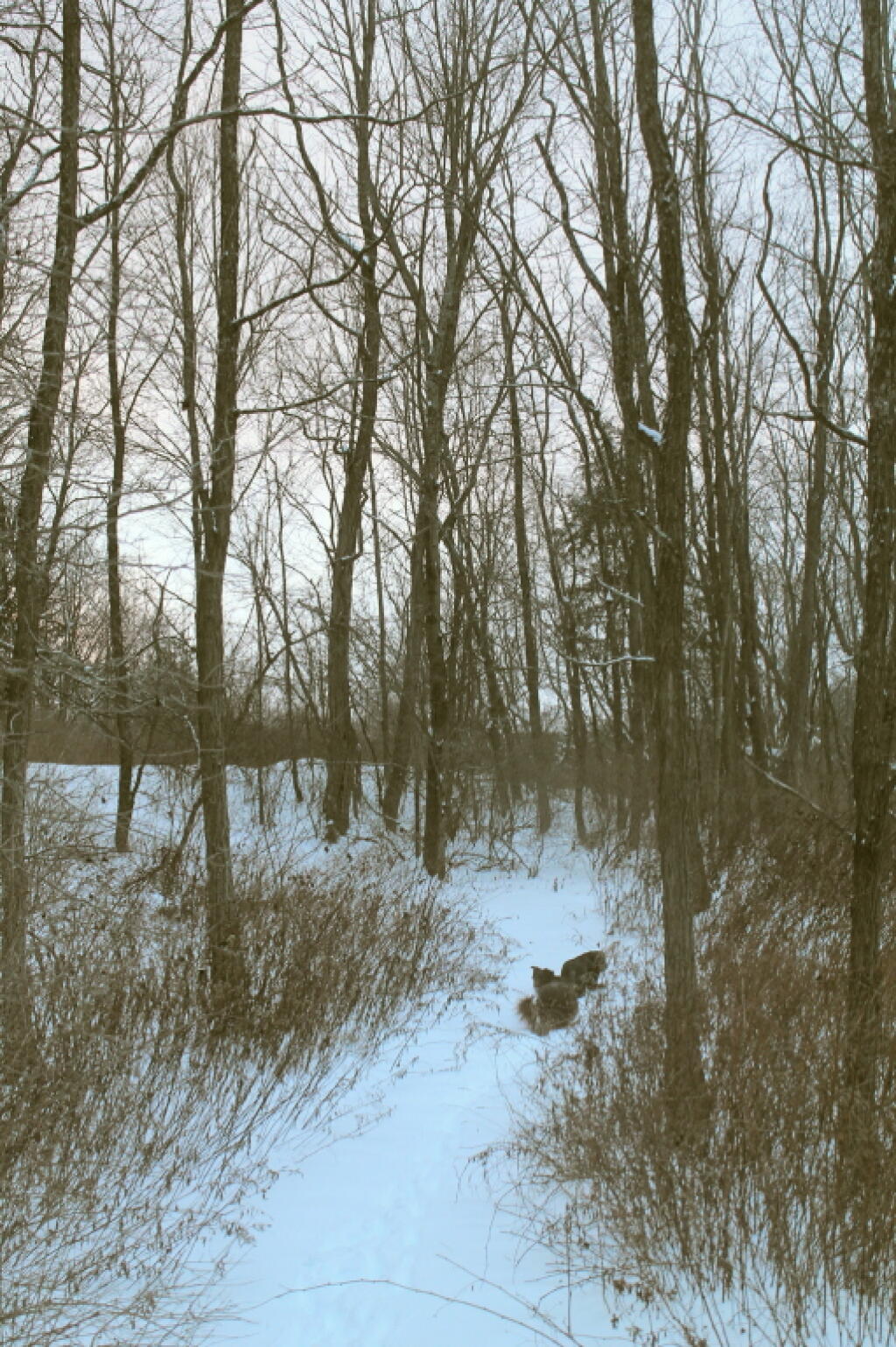 Photo: Up the Hill