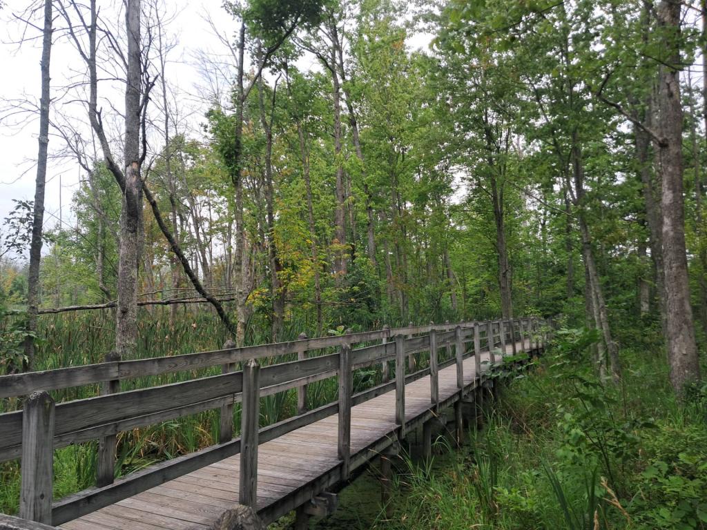 Photo: Walkway Photo: Walkway