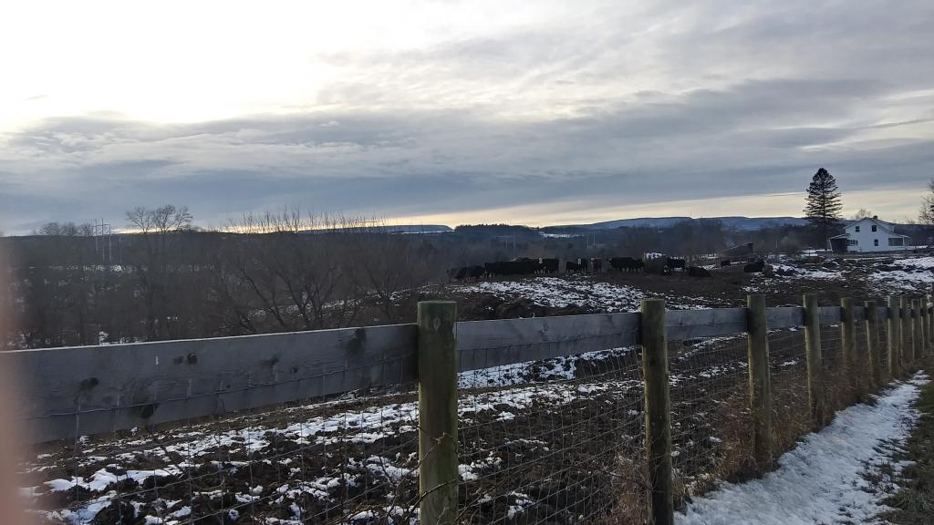 Photo: Gullies and Pasture at Meads Farm