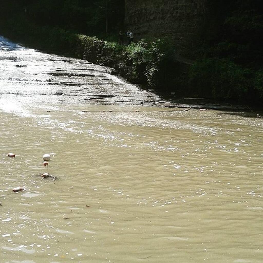Photo: Definitely the swimming beach is closed today