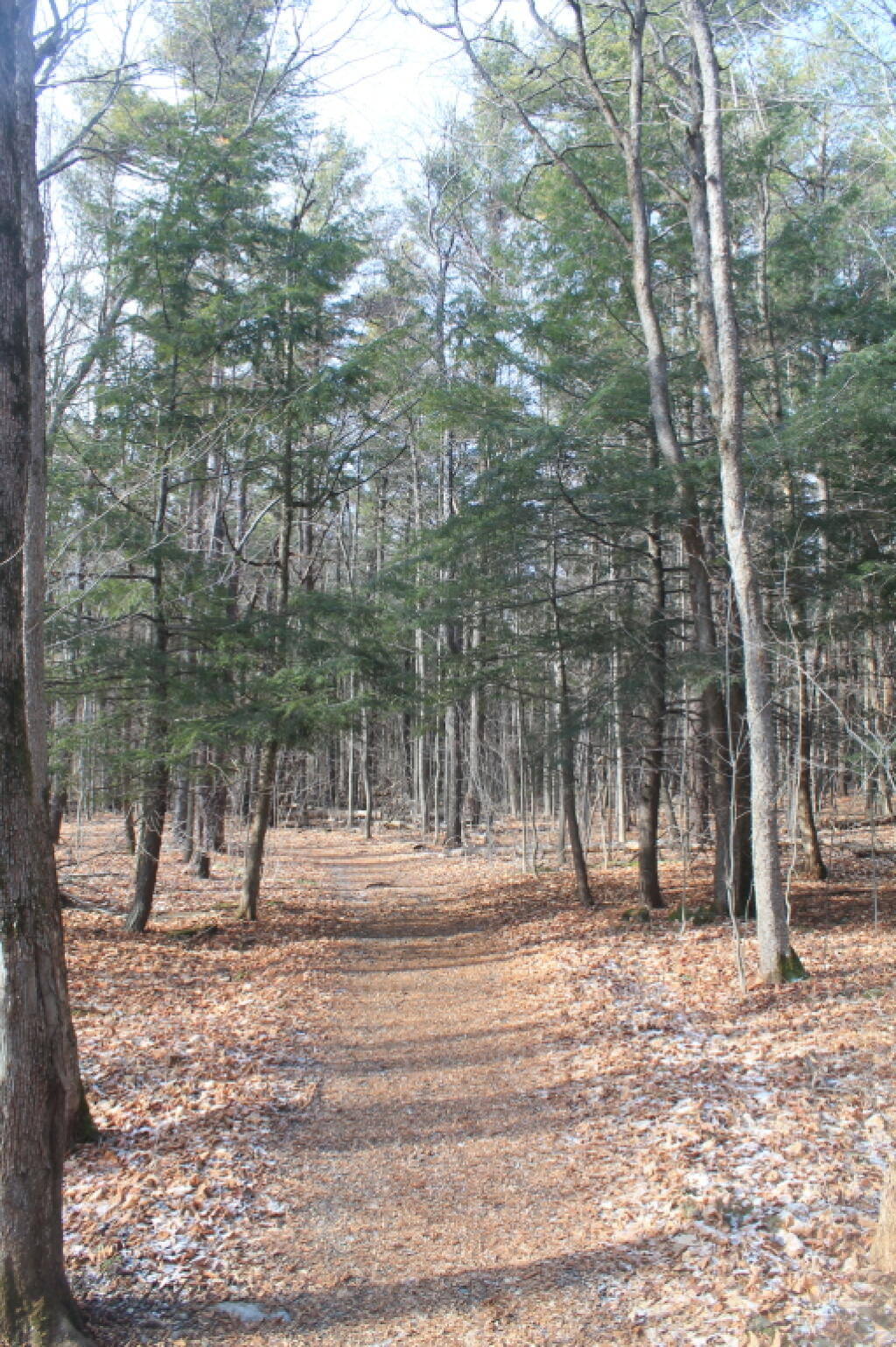 Photo: Powerline Trail