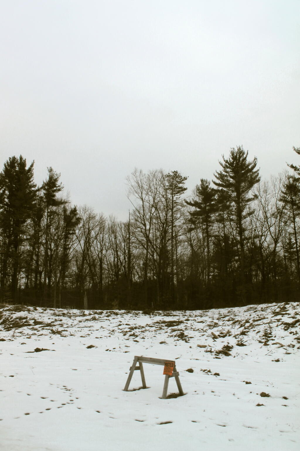 Photo: No Tresspassing - Serifini Land