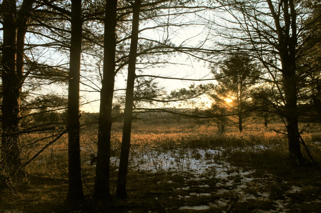Photo: Little Snow Left