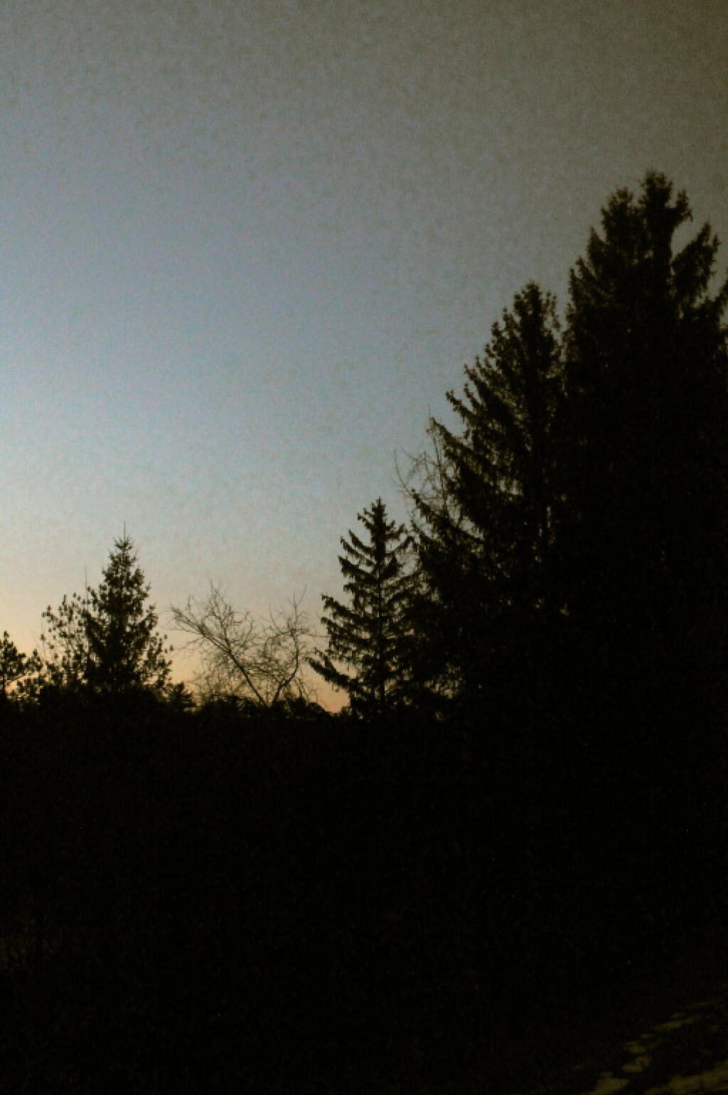 Photo: Last Light of the Day
