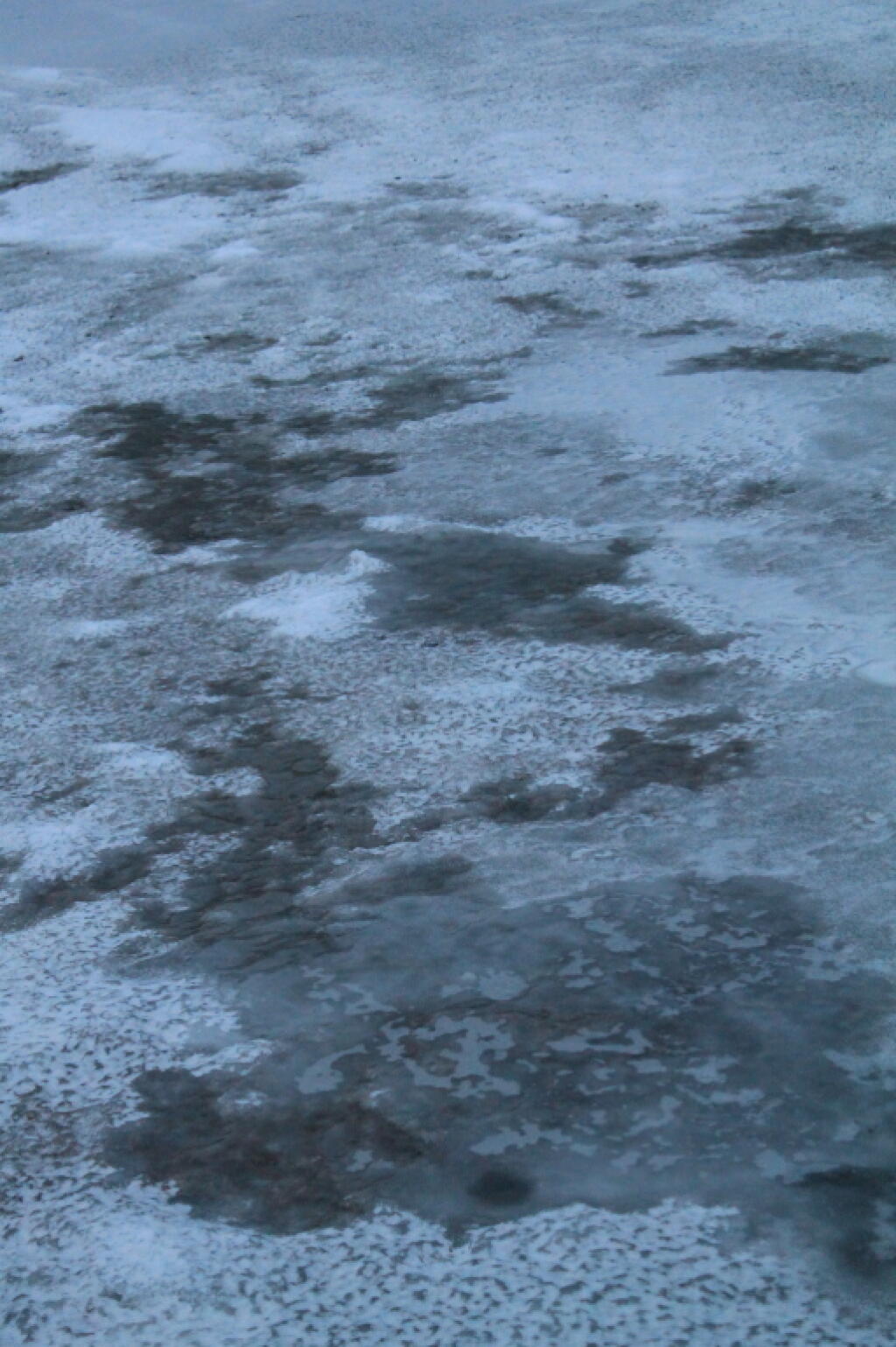 Photo: Ice