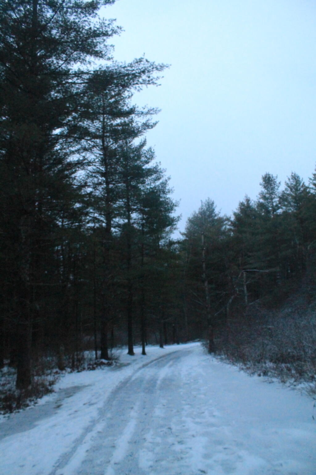 Photo: Phillipin Kill Trail