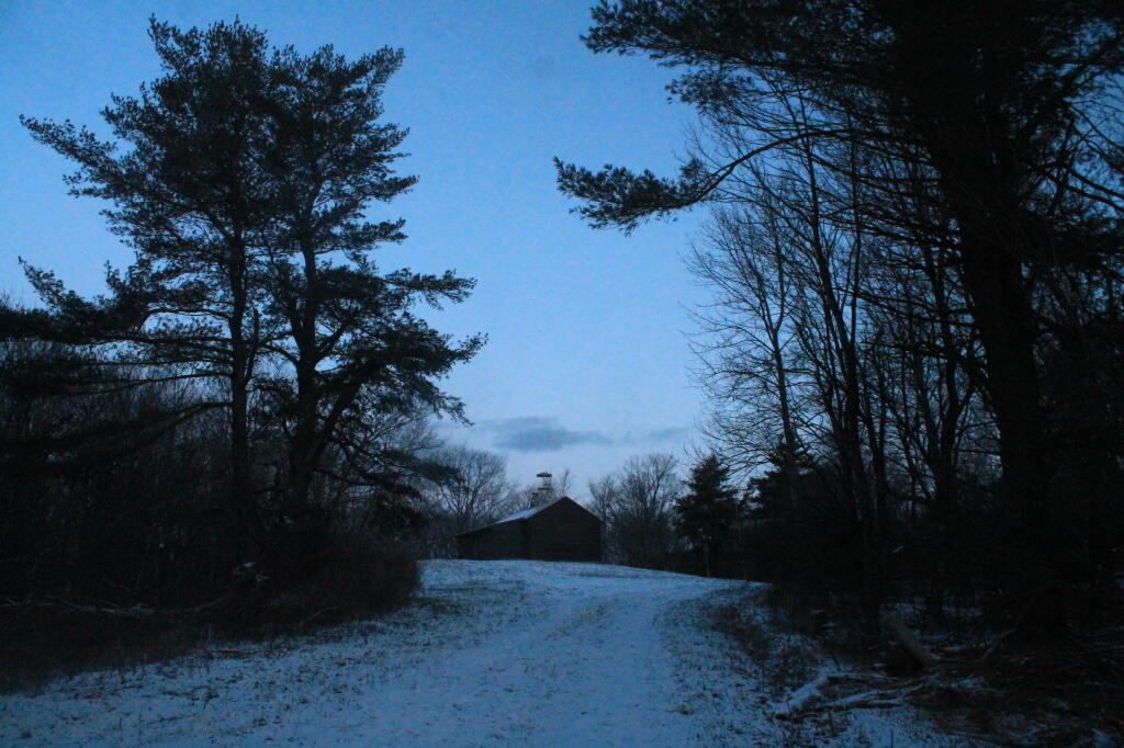 Photo: Firetower in the Distance