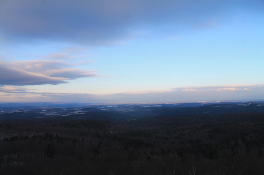 Photo: Partial Clearing
