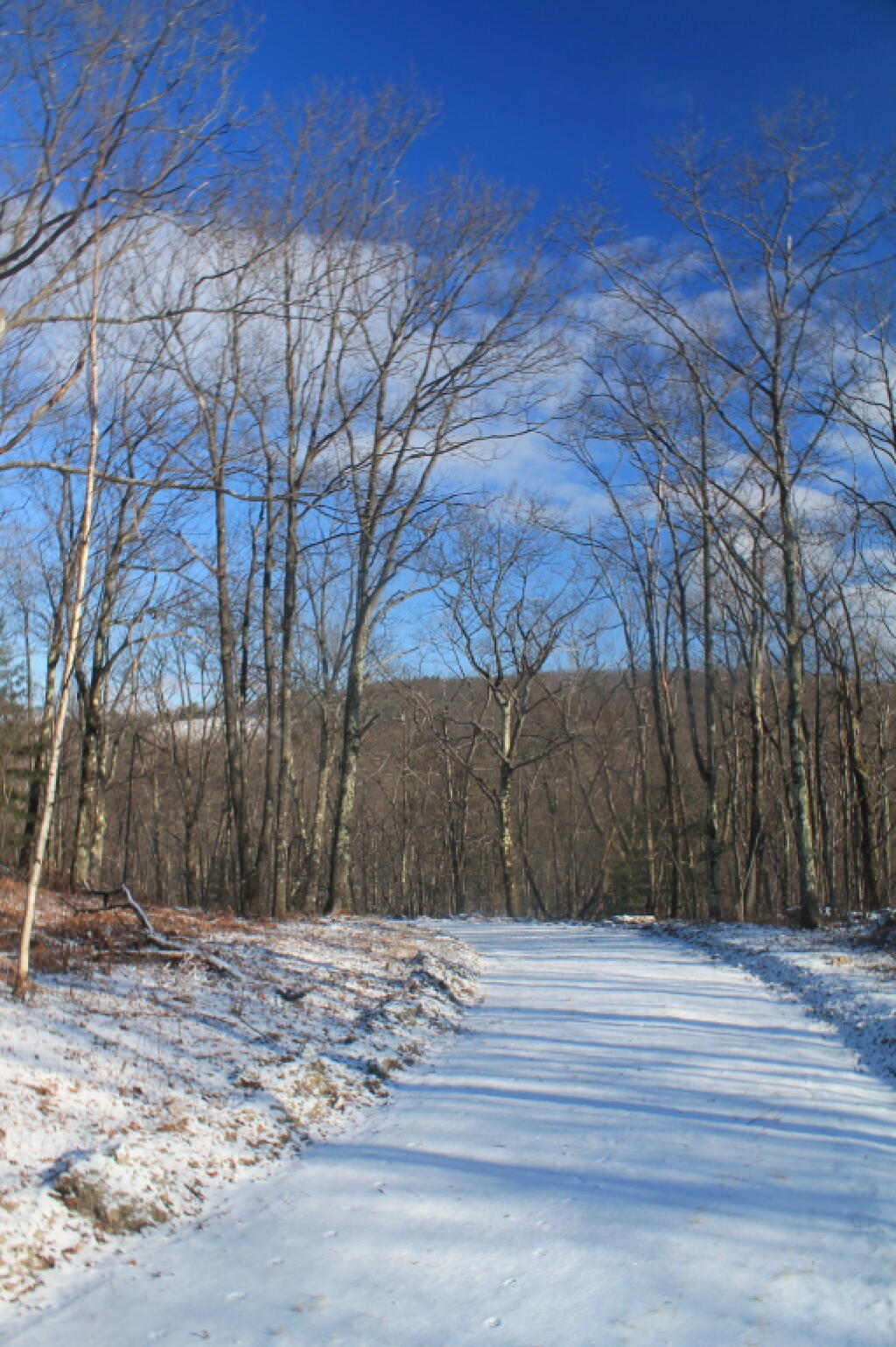 Photo: Ice on Harvey Mountain Road Made for Pretty Hiking