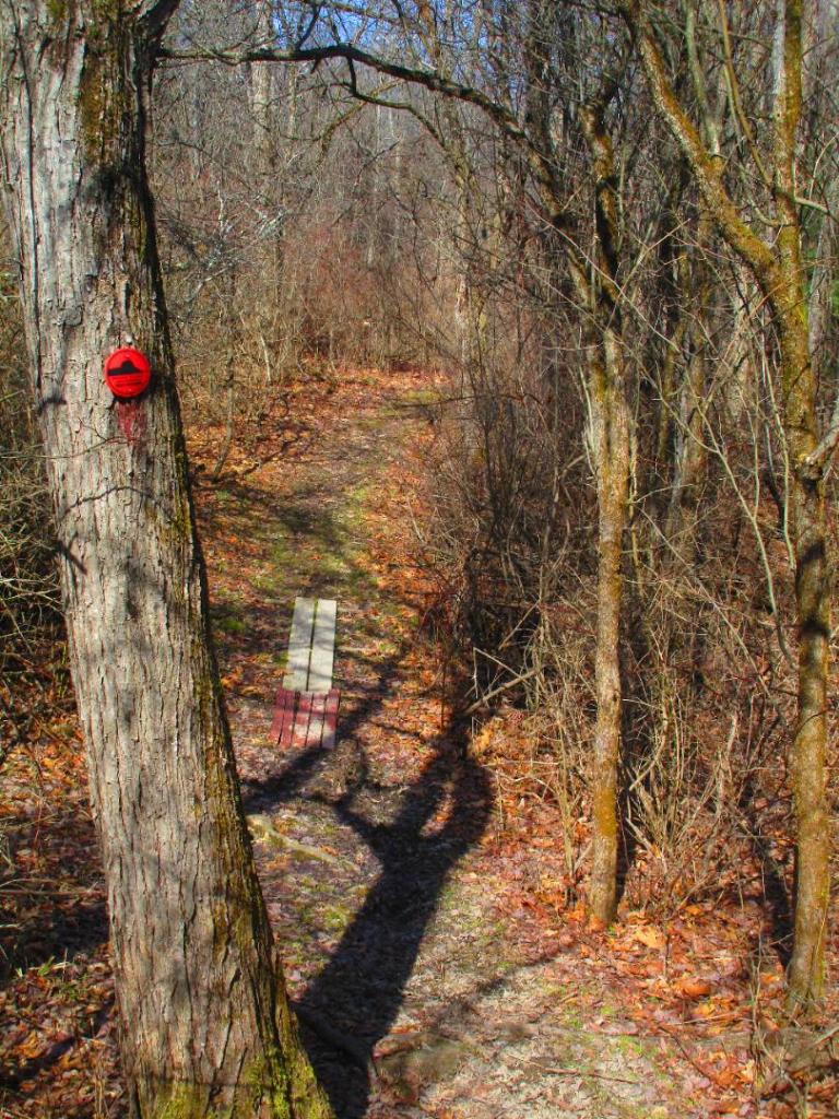 Photo: Shadows
