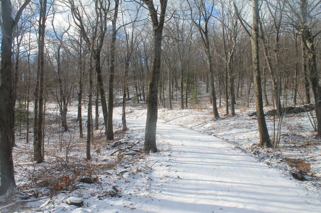 Photo: Follow the White Road