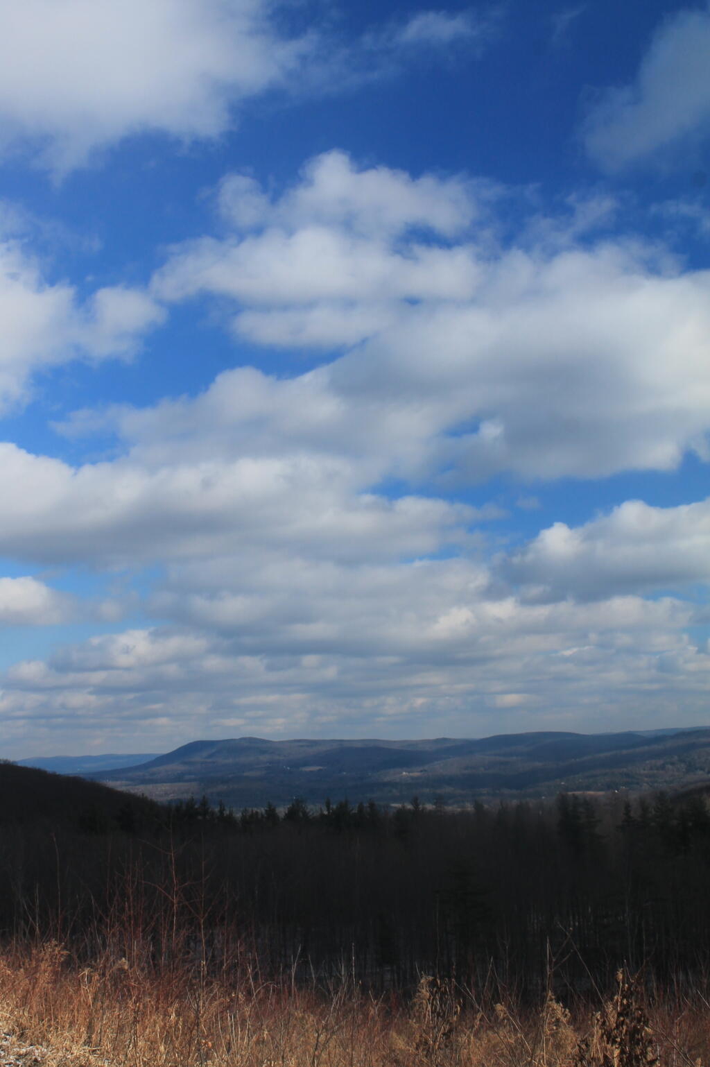Photo: Looking Into West Stockbridge Valley