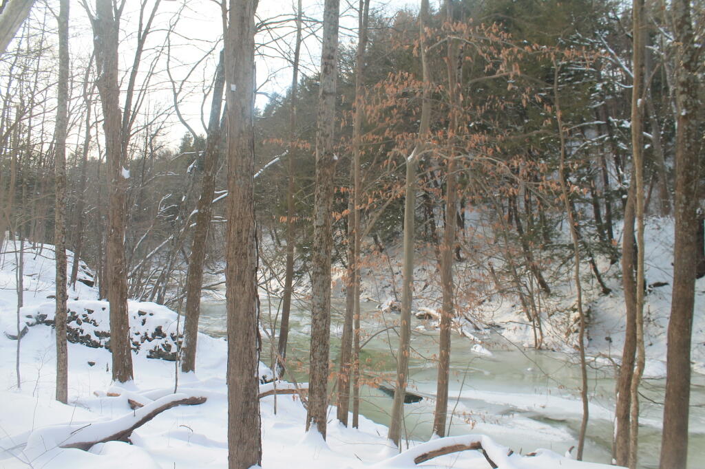 Photo: Wintery Creek