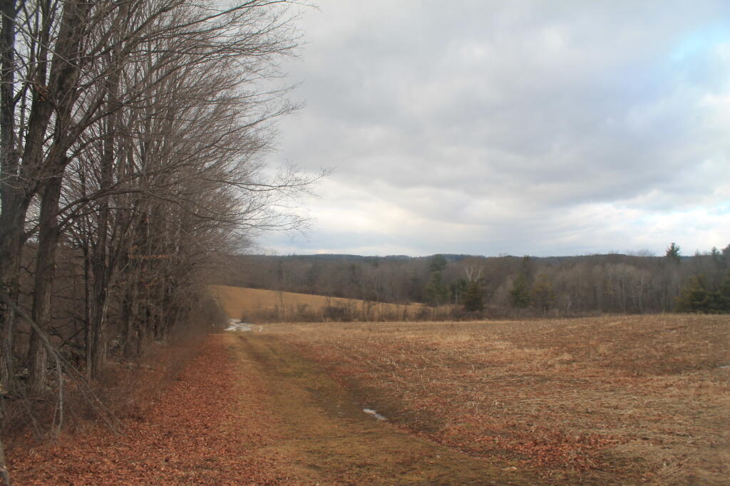 Photo: Down to the Pond
