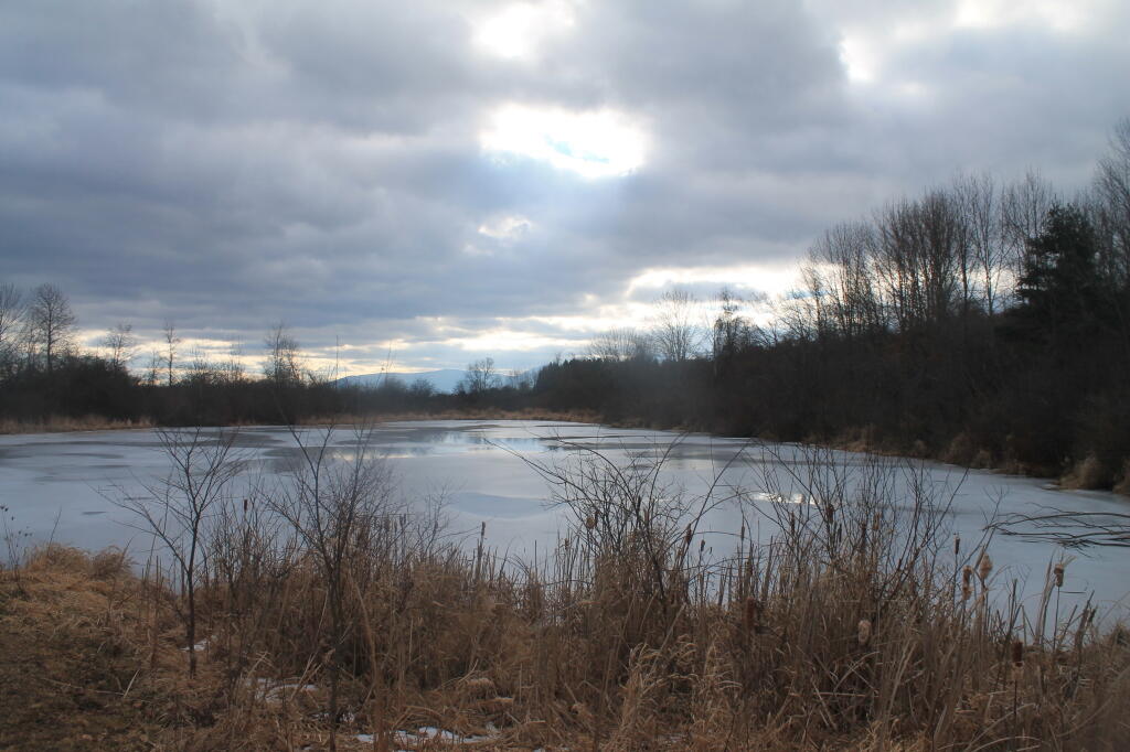 Photo: The Pond