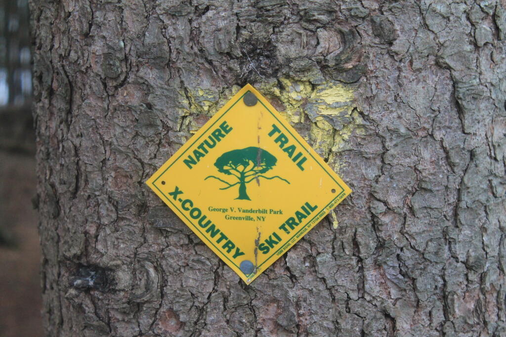 Photo: Marker
