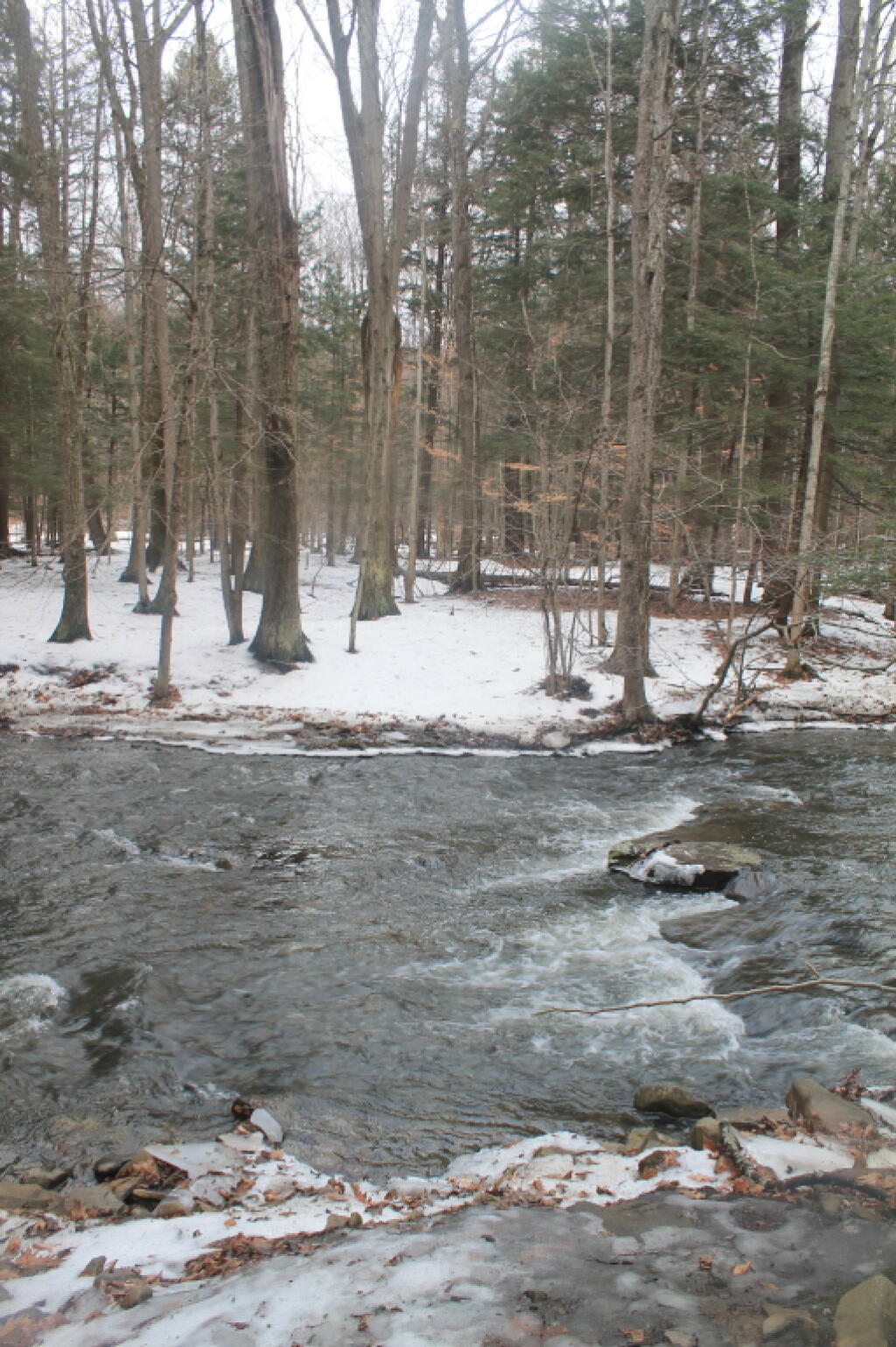 Photo: Basic Creek