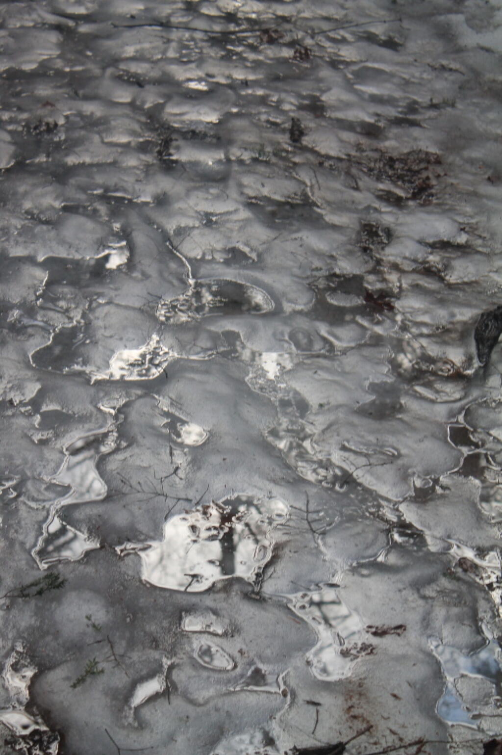 Photo: Icy Walking