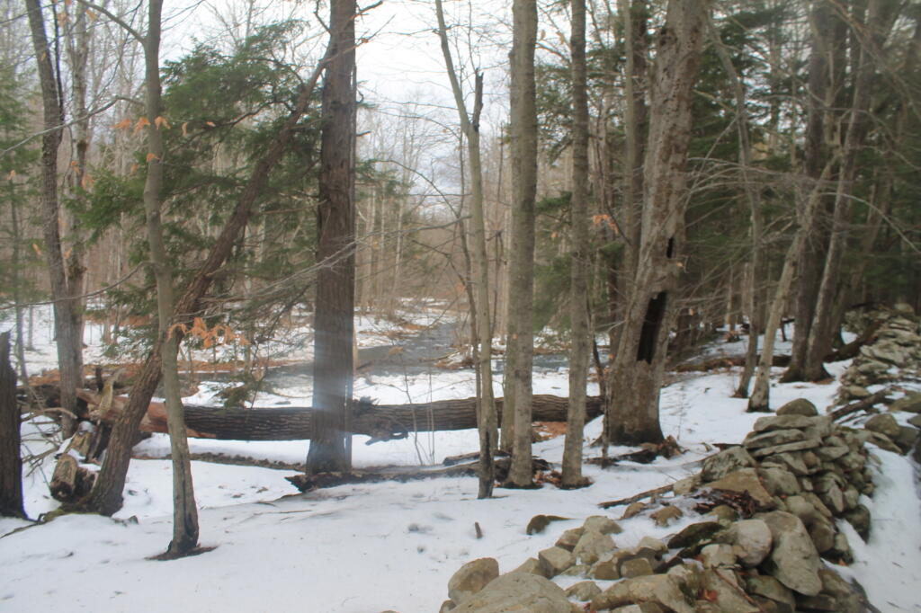 Photo: Bend in Creek