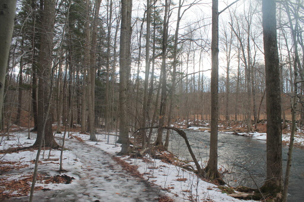 Photo: Trail Along the Creek