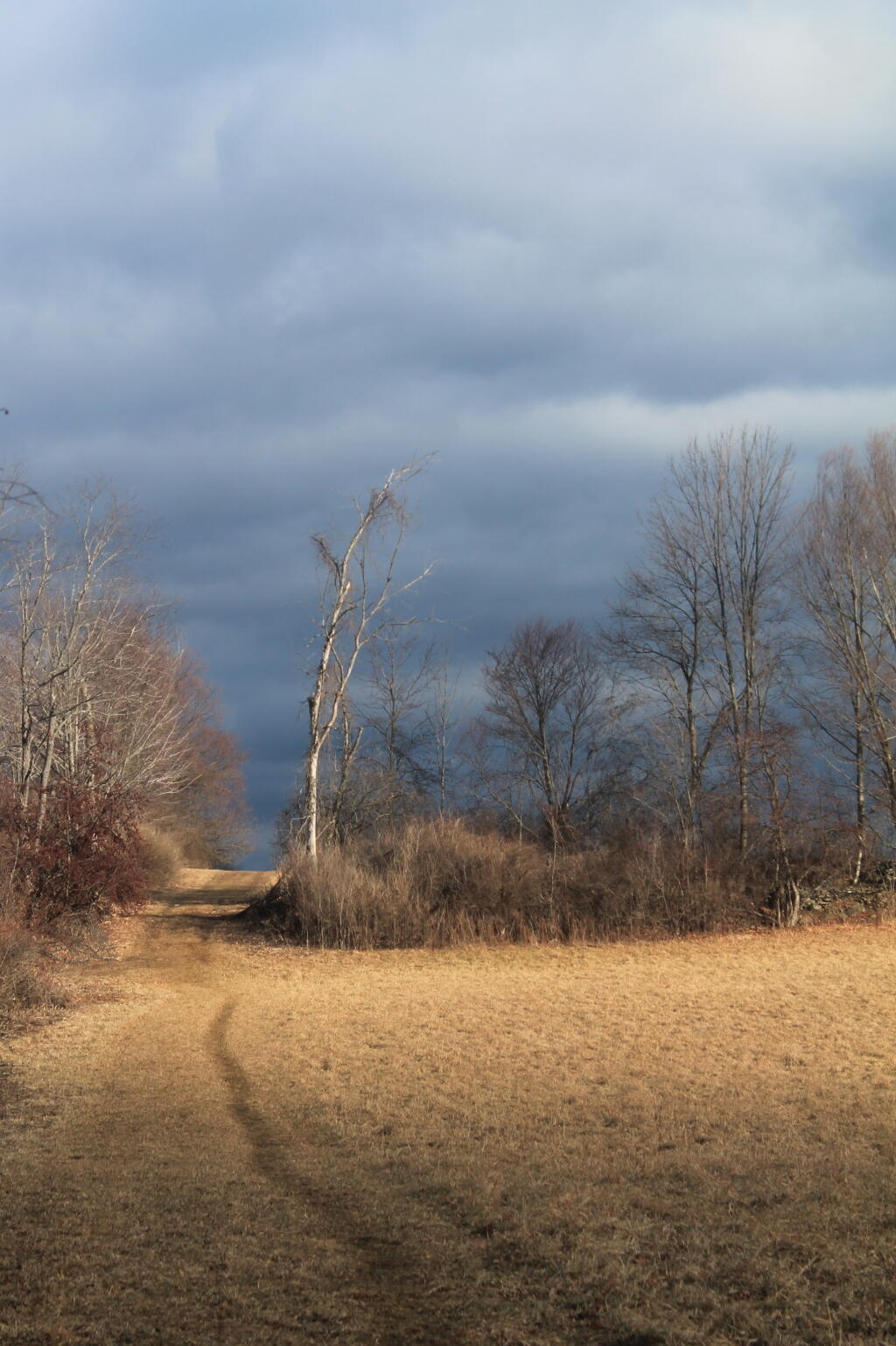 Photo: Past the Tree