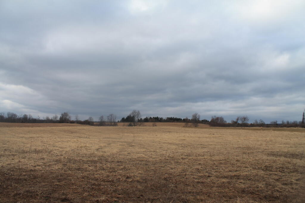 Photo: Low Clouds Over the Field