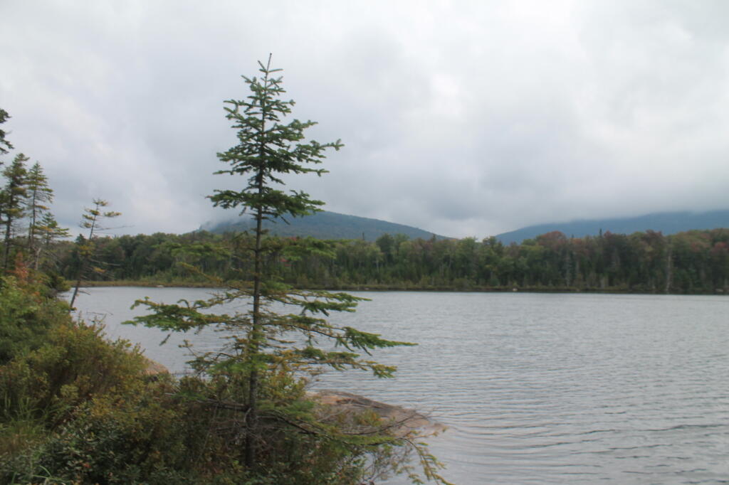 Photo: Cold Wet Day on the Dock