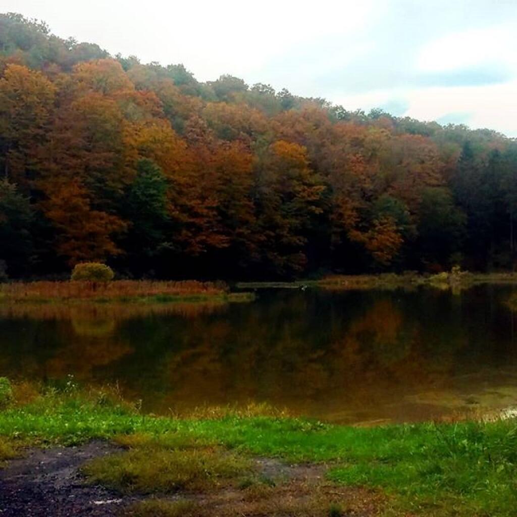 Photo: Morgan Pond