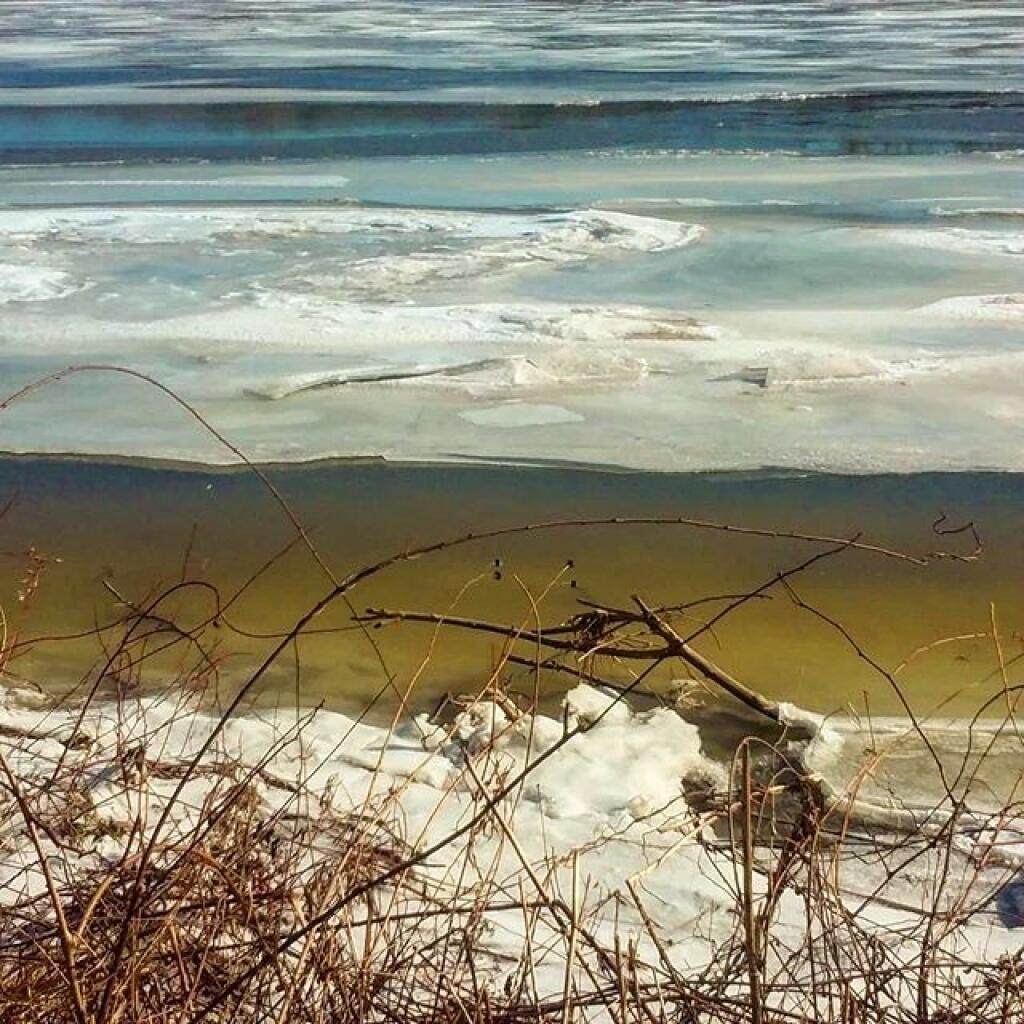 Photo: Muddy