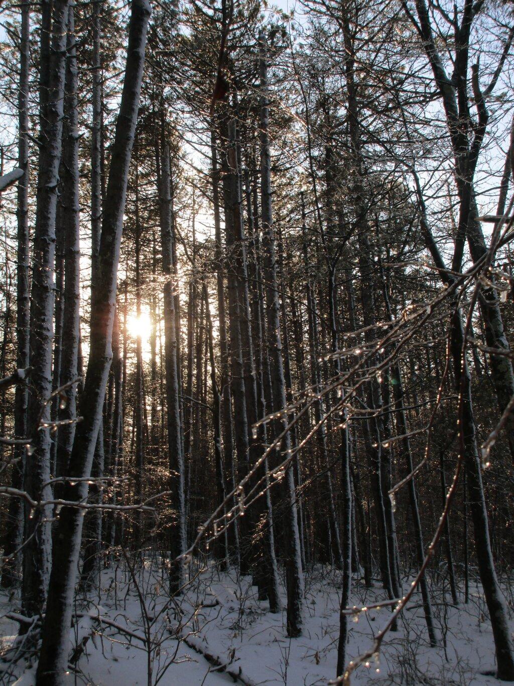 Photo: Ice
