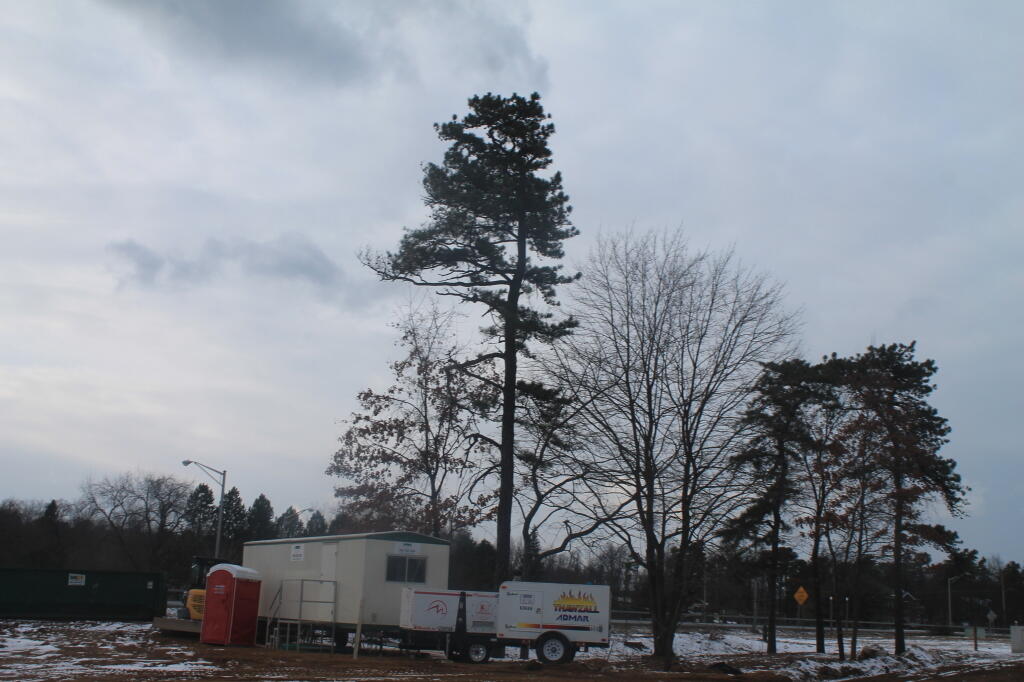 Photo: Development at Crossgates Commons