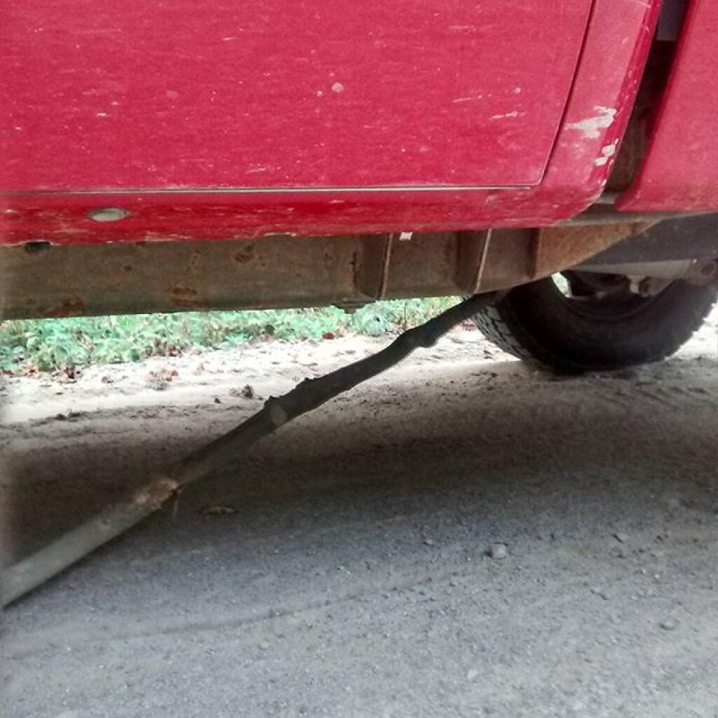 Photo: What's that noise? No damage.