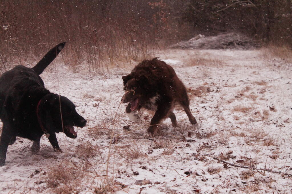 Photo: Grr.