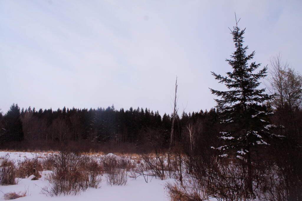 Photo: View Along the Trail